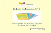 Boletin 1 -guia-para-la-planificacion-microcurricular