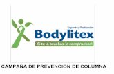 Presentacion soportes bodylitex