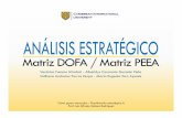 Análisis DOFA y PEEA Xpressart Estudio Creativo C.A.