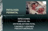 Patología perinatal
