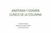 Anatomia y examen clinico de la columna