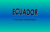 Ecuador (1)