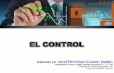 Control organizacional - Control politico - Control  social - Control gestion