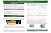Poster25: Identificación de QTLs en arroz para la resistencia al virus de la hoja blanca del arroz y su vector Tagosodes orizicolas