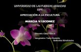 Marcia Vásconez- Escultora ceramista, ecuatoriana