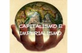 Capitalismo e imperialismo (1870-1914)