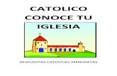 49714040 catolico