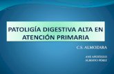 (2015-03-12) Patología digestiva alta en AP (PPT)