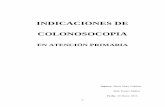 (2015-3-10) indicaciones de colonoscopia en ap (doc)