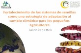 Fortalecimiento de los sistemas de semillas como una estrategia de adaptación al cambio climático para los pequeños agricultores, Por Jacob Van Etten