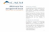 Mineria en Argentina