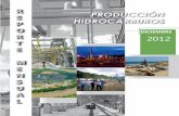Reporte: Producción hidrocarburos diciembre 2012