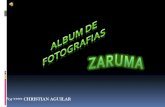 Presentación Ahristian Aguilar (zaruma)