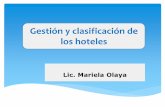 Gestion y clasificacion hoteles