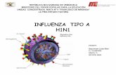PresentacióN Enfluenza Liada