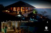 Presentacion hotel banyan tree cabo marques