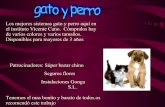 Perro Y Gato Publicidad