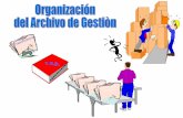 Organizacion archivos de gestion