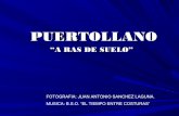 Puertollano a ras de suelo - Juan Antonio Sánchez Laguna