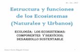 Estructura y funciones de los ecosistemas