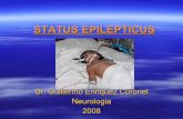 Status Epilepticu1 2008