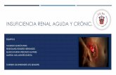 Insuficiencia renal aguda crónica y pielonefritis aguda y cronica