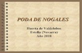 Poda Nogales huerta 2010