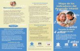 MAPA DE LOS INDICADORES DEL DESARROLLO INFANTIL