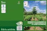 Desarrollo forestal y agroforestal