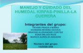 Humedal kirpas pinilla-la-cuerera_final