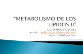 Metabolismo de los lipidos II