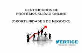 Oportunidades de los certificados de profesionalidad online - Fundación Vertice