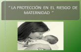 La Protección en el Riesgo de Maternidad