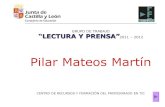 Pilar Mateos Martín
