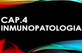 capitulo #4 inmunopatotologia libro de rubin anatomia patologica