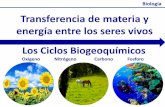 Los ciclos biogeoquímicos