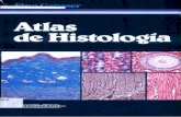 Atlas de-histologia-geneser-130926172315-phpapp02 (1)