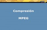 Conversión MPEG 2/4