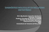 Diagnostico molecular en melanoma metastasico