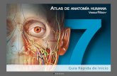 Atlas de anatomía humana para iPhone