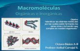 C22 s14 macromoleculas rev2013