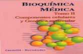 Bioquimica medica tomo II