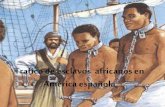 Trafico de esclavos  africanos en américa española