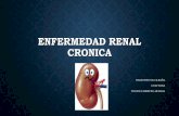 Enfermedad renal cronica