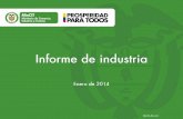Informe de industria colombia