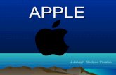 Resumen apple-2015-trilce