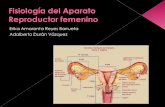 Fisiología del aparato reproductor femenino