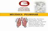 Mecanica pulmonar