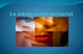 La integración sensorial expo 1