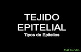 Tejido Epitelial - Tipos de Eítelios
